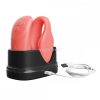 We-Vibe Chorus extra g-spot and clitoral vibrator